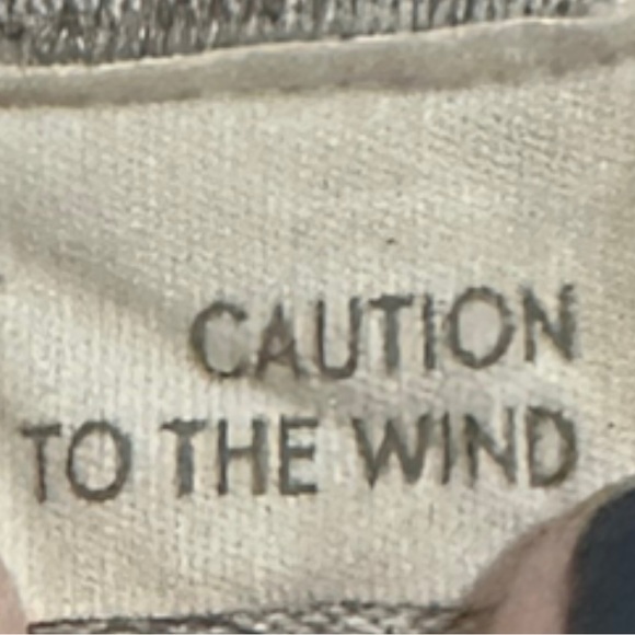 Caution to the Wind Gray Jumpsuit - Picture 2 of 3